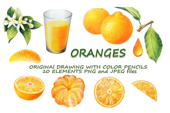 10 Elements of Orange Citrus, Hand Drawn: A Creative Resource for Designers and Artists