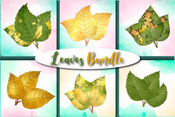 Bringing Nature Into Design with Leaves Dried Collection