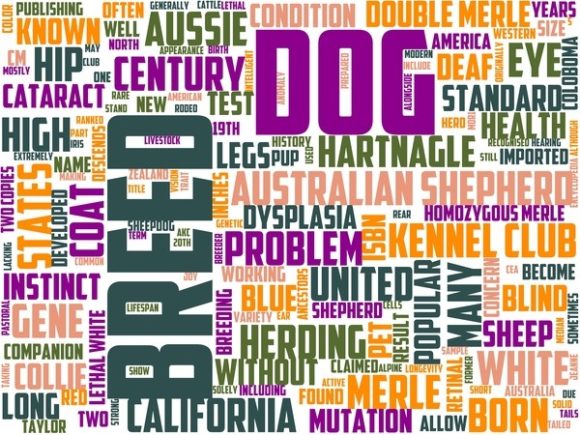 Discover the Versatility of Kennel Hand Wordart Skinny Tumbler in Creative Design