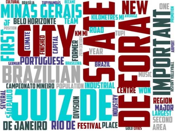 Juiz De Fora Wordart Tshirt