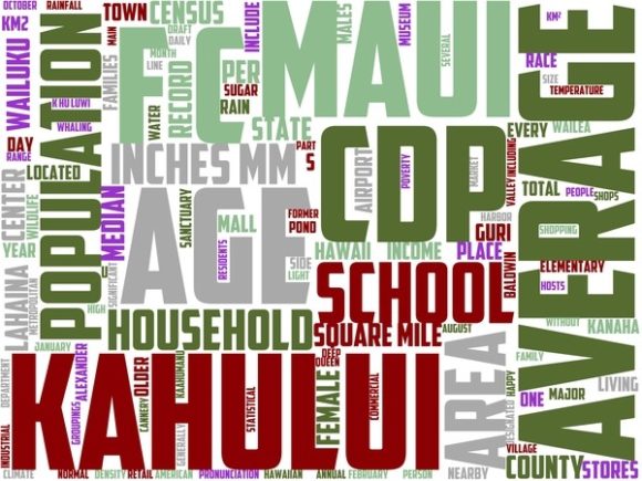 Kahului Wordart Tshirt: A Creative Design for Every Occasion