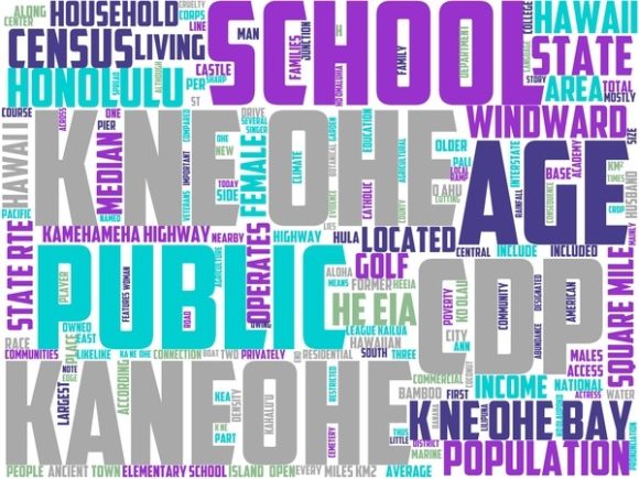 Kaneohe Wordart Banner