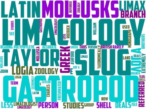 Limacology Wordart Crafting: Transforming Words into Art for a Creative World