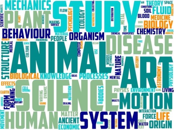 Loimology Wordart Crafting: A Creative Tool for Modern Design