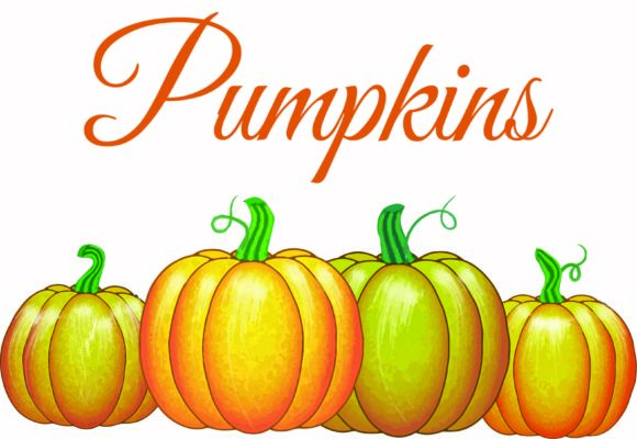 Pumpkin Bundle for Halloween