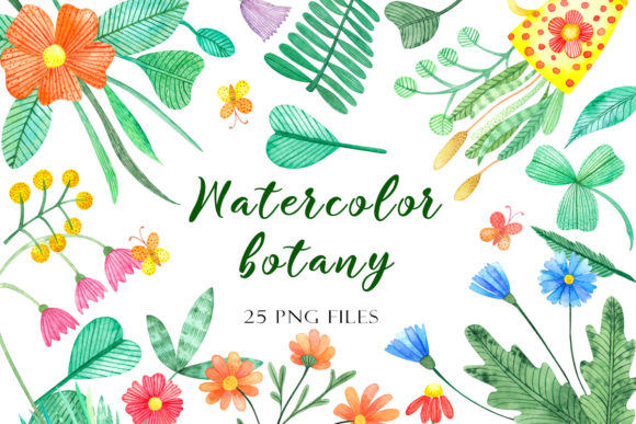 Set of Watercolor Botanical Elements: A Creative Resource for Designers